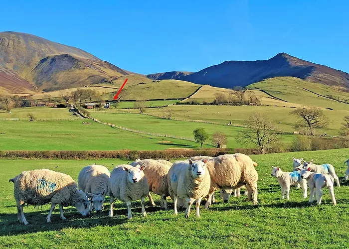 Fell Foot - Ukc5294